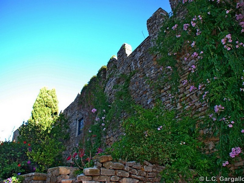 Muralla urbana de Castellar Viejo