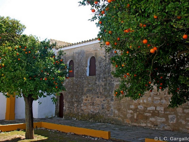 Castillo de Gigonza