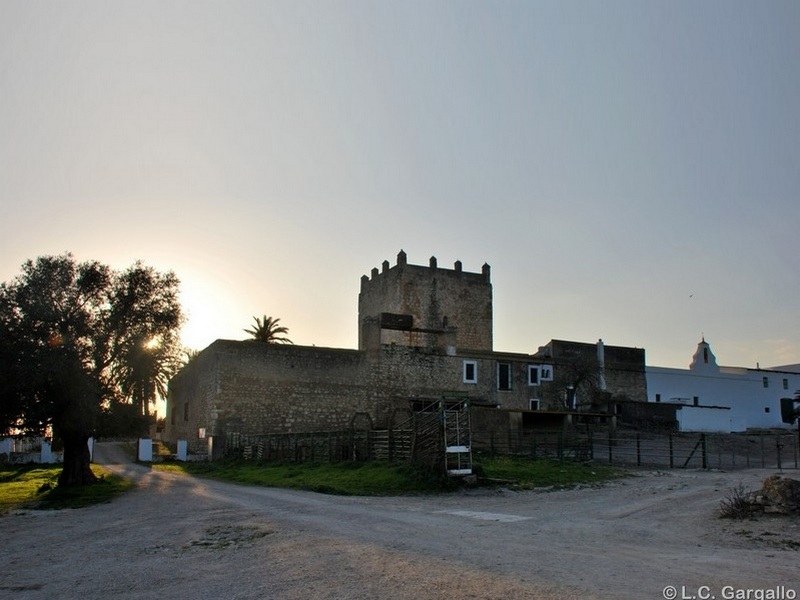 Castillo de Gigonza