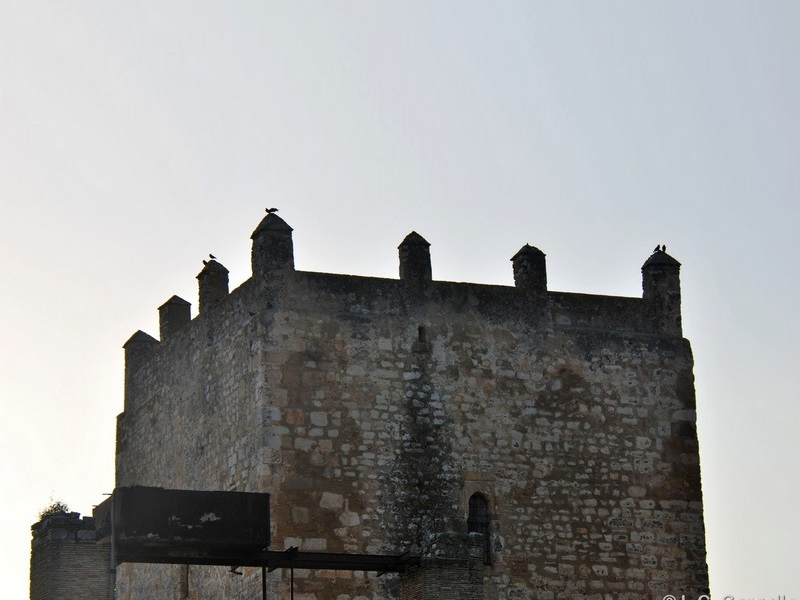 Castillo de Gigonza