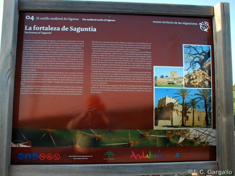 Castillo de Gigonza