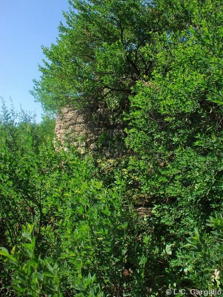 Fortaleza nazarí de Iptuci