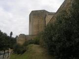 Castillo de Santiago