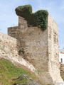 Torre de Miramar y Boquete de Cádiz