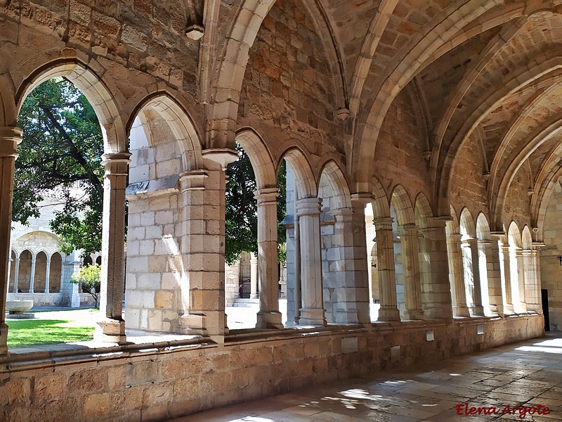 Catedral de la Asunción de la Virgen