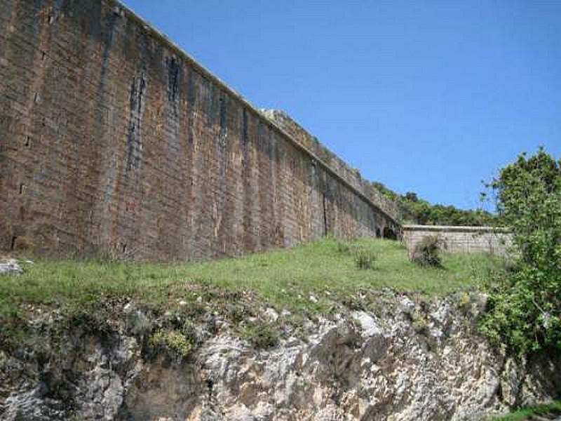 Fuerte de San Carlos