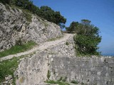 Fuerte de San Carlos