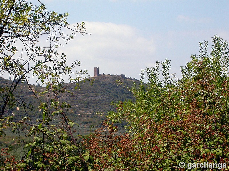 Castillo de Almonecir