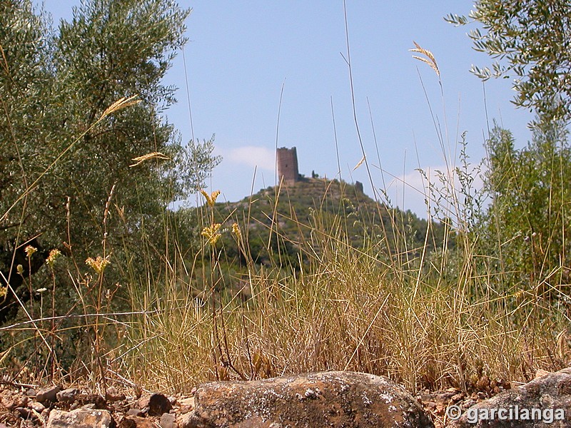 Castillo de Almonecir