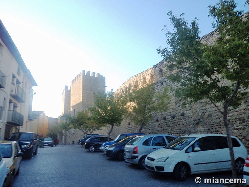 Puerta y torres de San Miguel