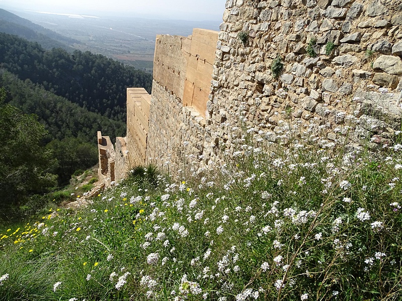 Castillo de Alcalà de Xivert