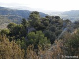 Castillo de Miravet