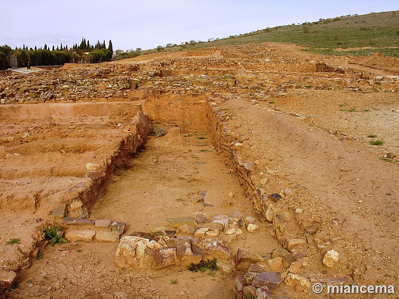 Yacimiento del Cerro de las Cabezas