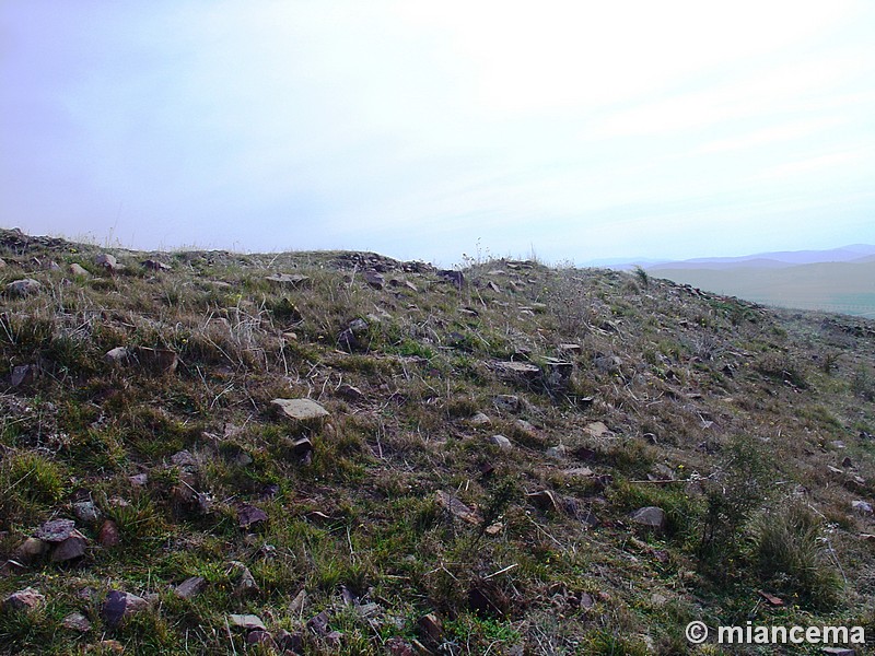 Yacimiento del Cerro de las Cabezas