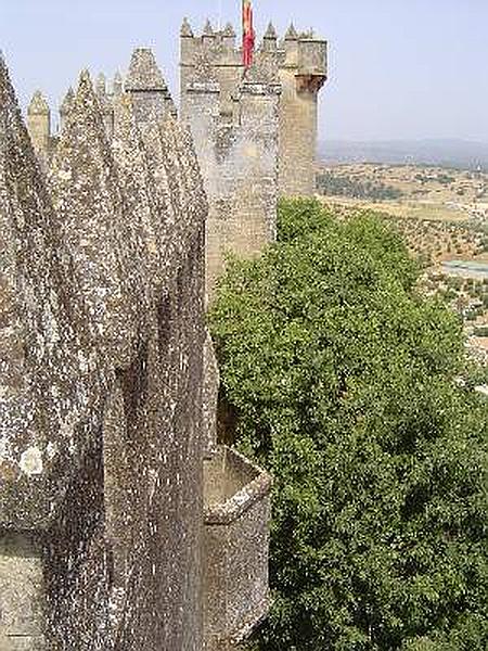 Castillo de Almodóvar del Río