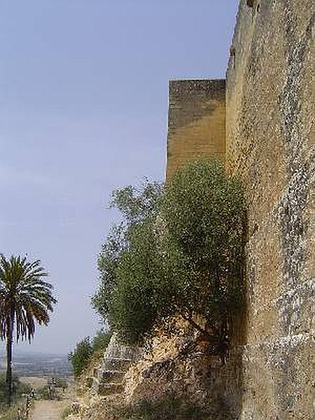 Castillo de Almodóvar del Río