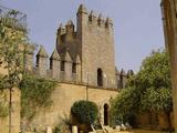 Castillo de Almodóvar del Río