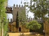 Castillo de Almodóvar del Río