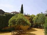 Castillo de Almodóvar del Río