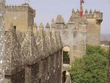 Castillo de Almodóvar del Río