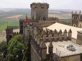 Castillo de Almodóvar del Río