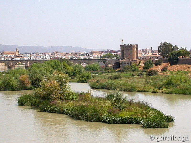 Torre fortaleza de la Calahorra