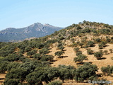 Castillo de Miramontes