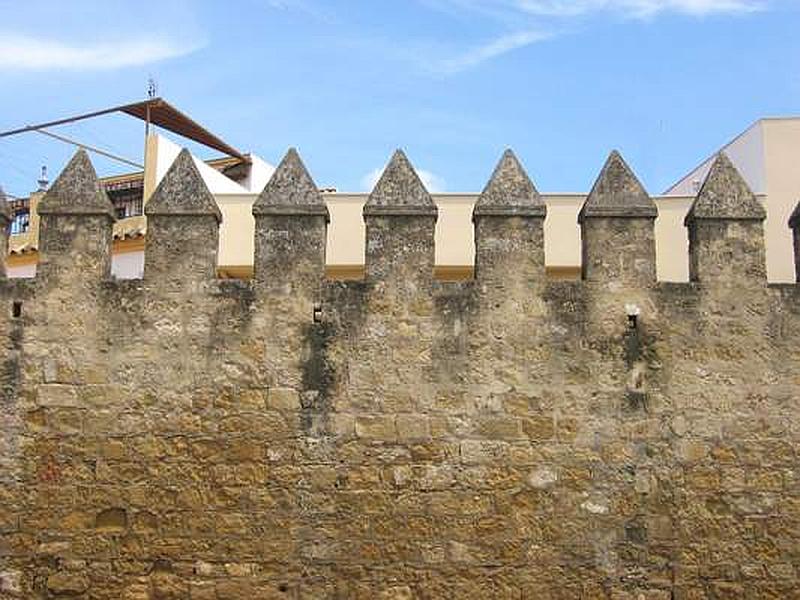 Muralla sur del Alcázar Viejo y Huerta del Alcázar