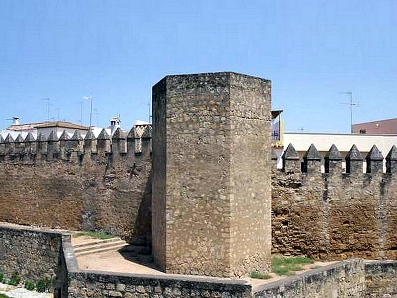 Muralla sur del Alcázar Viejo y Huerta del Alcázar