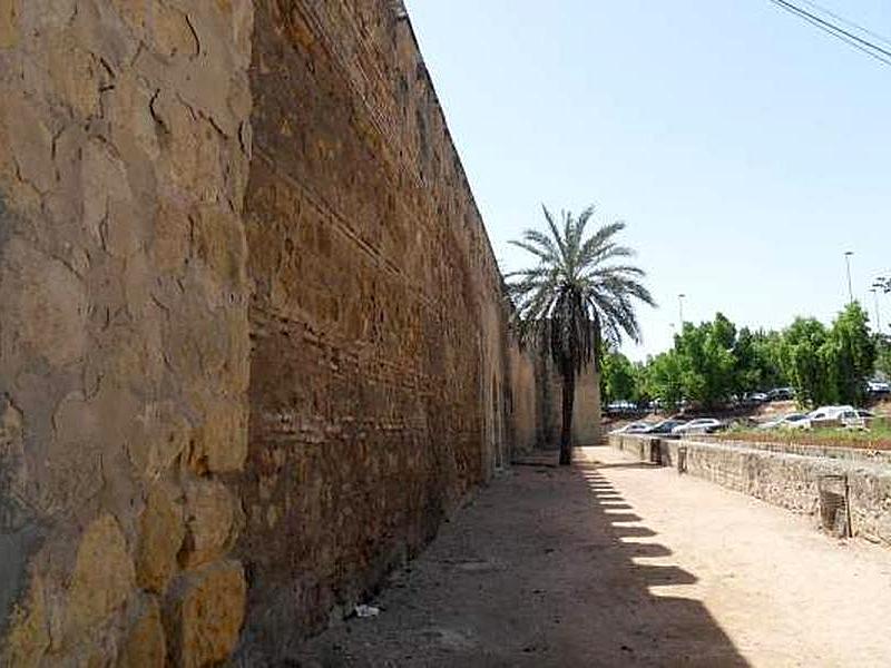 Muralla sur del Alcázar Viejo y Huerta del Alcázar