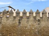 Muralla sur del Alcázar Viejo y Huerta del Alcázar