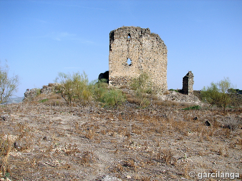 Castillo de Gómez Arias