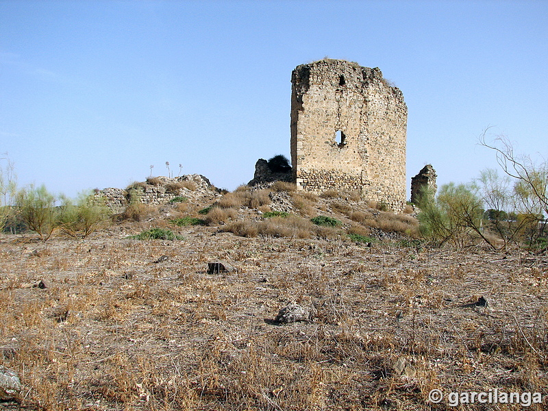 Castillo de Gómez Arias