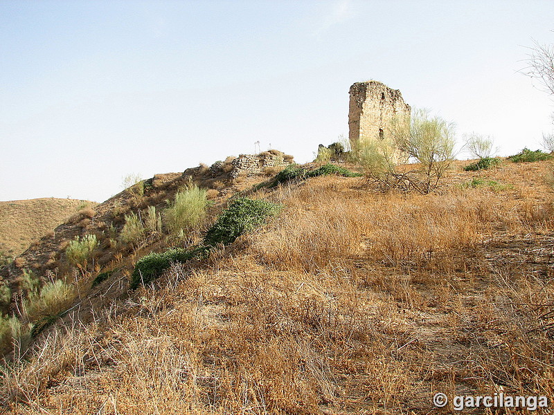 Castillo de Gómez Arias