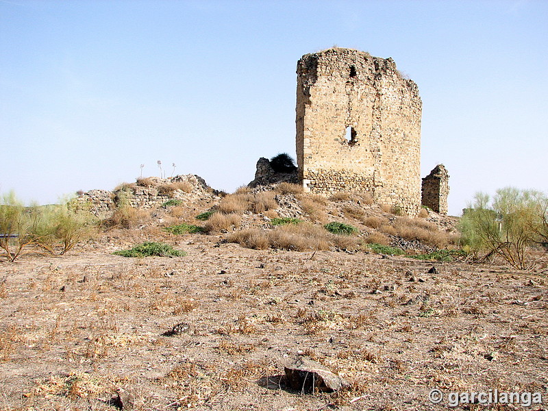 Castillo de Gómez Arias