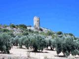 Torre del Morchón