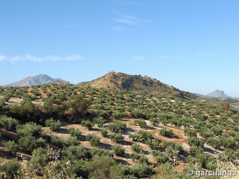 Torre Alta