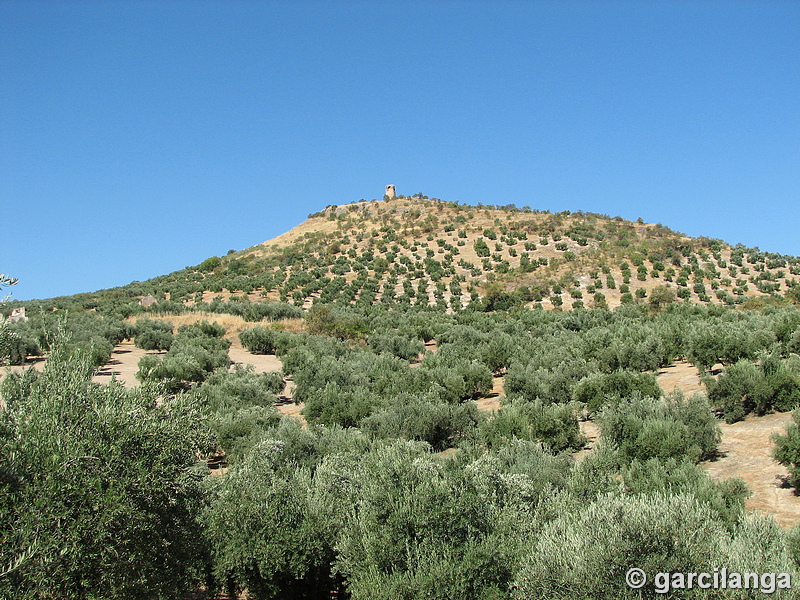 Torre Alta