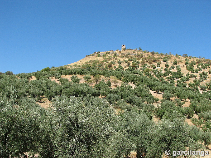 Torre Alta