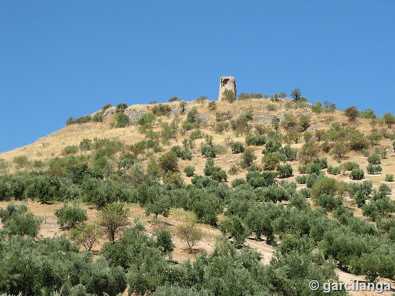 Torre Alta