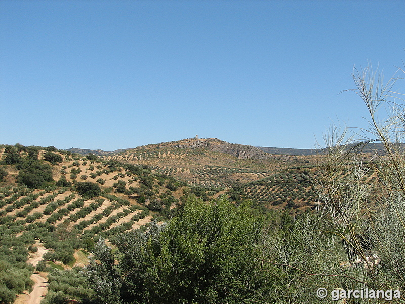 Torre Alta