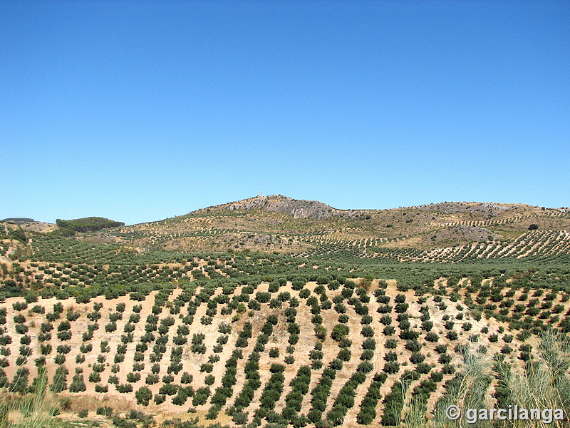 Torre Alta