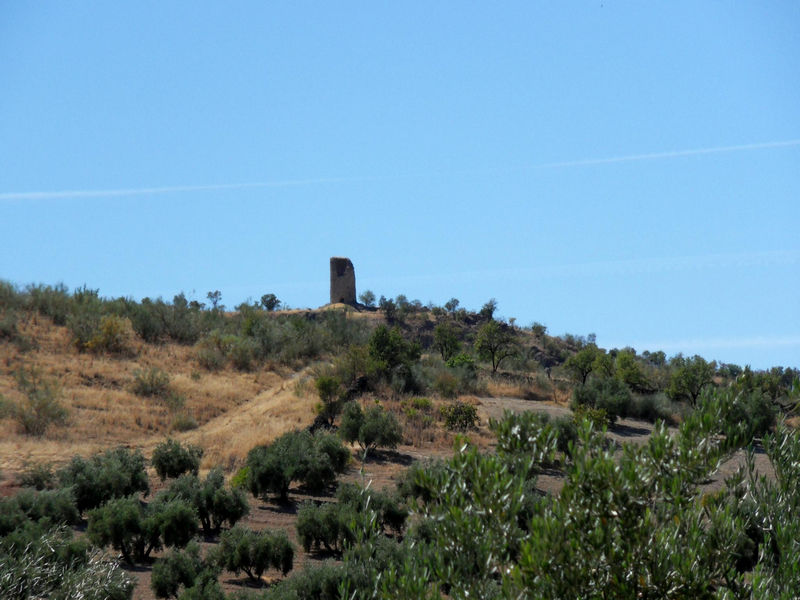 Torre Alta