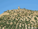 Torre Alta