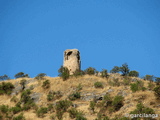 Torre Alta