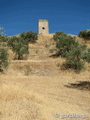 Torre de Barcas