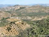 Torre de Barcas