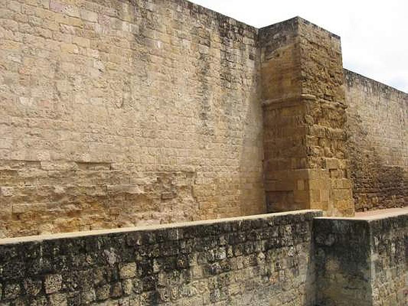 Muralla lienzo suroeste de la Medina