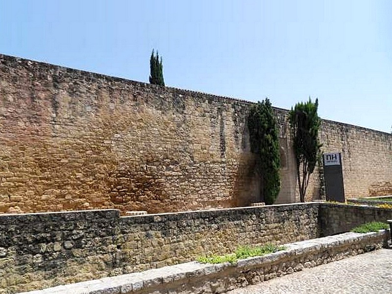 Muralla lienzo suroeste de la Medina