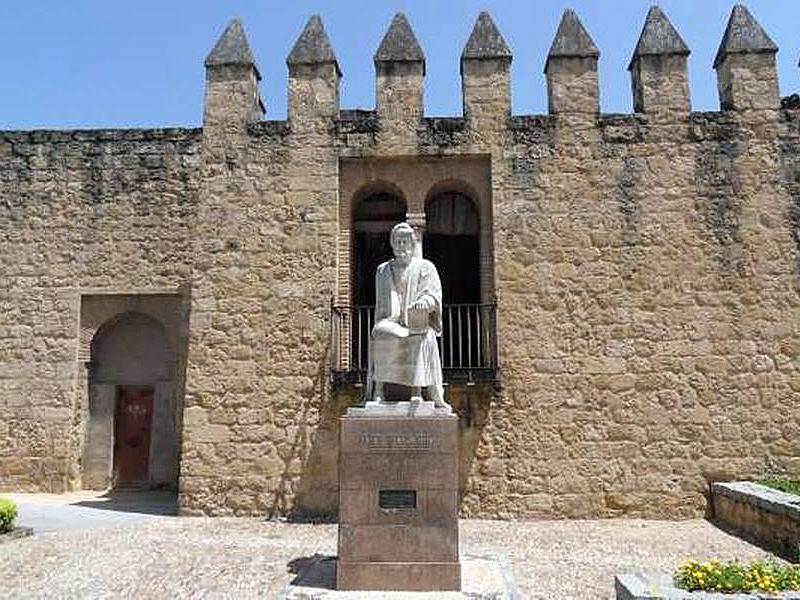 Muralla lienzo suroeste de la Medina